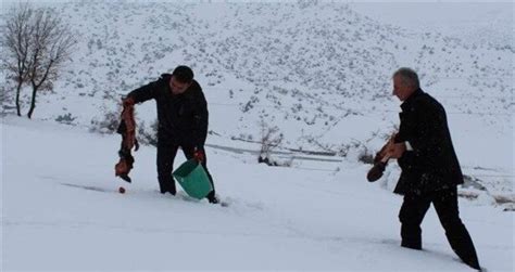 Yabani hayvanlar için doğaya yem bırakıldı Gündem Haberleri