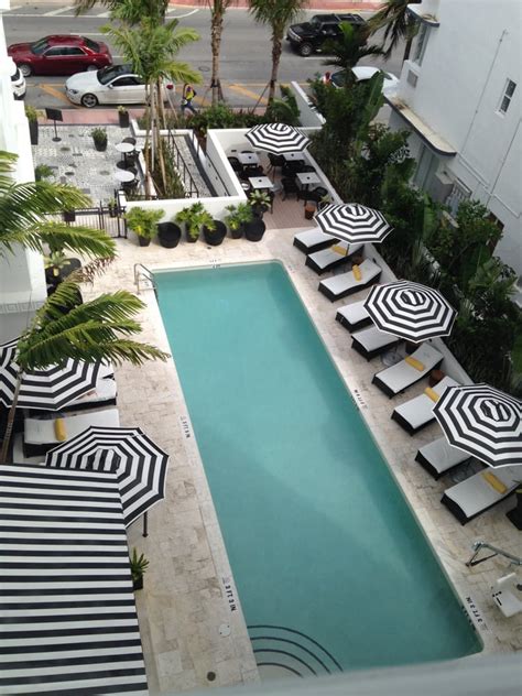 Hotel Croydon - 59 Photos - Hotels - Miami Beach, FL - Reviews - Yelp