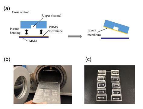 Development Of A Cell Culture Microdevice With A Detachable Channel For