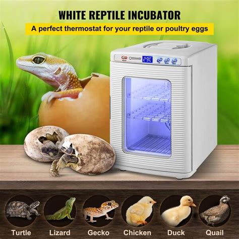 Vevor Reptile Incubator X X Digital Cooling Heating Reptile