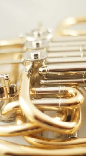 gold musical instrument  image peakpx