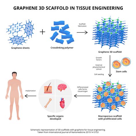 Graphene: The next revolution in biomedical applications - Graphenemex