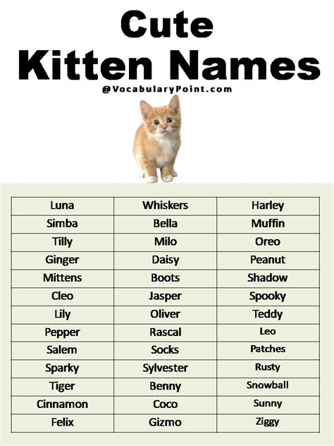 Most Popular Cute Cat Names | Cute cat names, Cat names, Kitten names