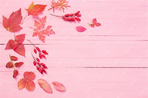 Premium Photo | Autumn leaves on pink wood