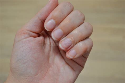 Closeup Image Of Woman Hand With Beautiful Nude Manicure Banner Stock Photo Image Of