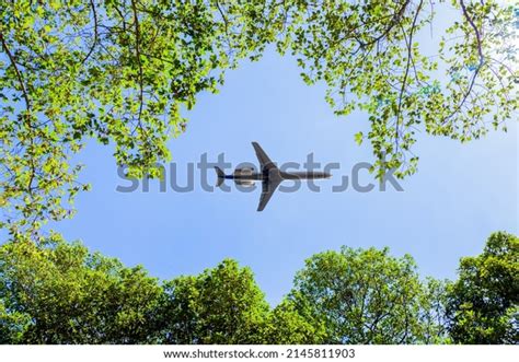 Plane Flying Over Forest Treetops Stock Photo 2145811903 Shutterstock