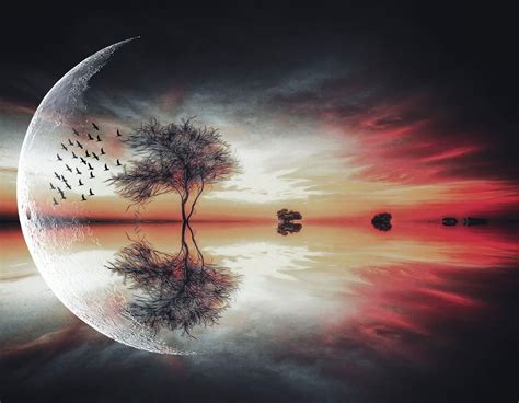 Moon and Tree Wallpapers - Top Free Moon and Tree Backgrounds - WallpaperAccess