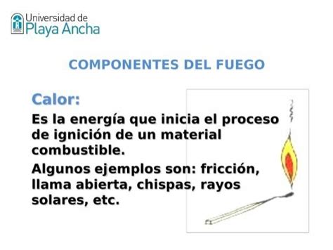 Componentes Del Fuego Com