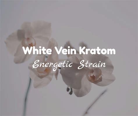 White Vein Kratom Energetic Strain Kratom Sensation