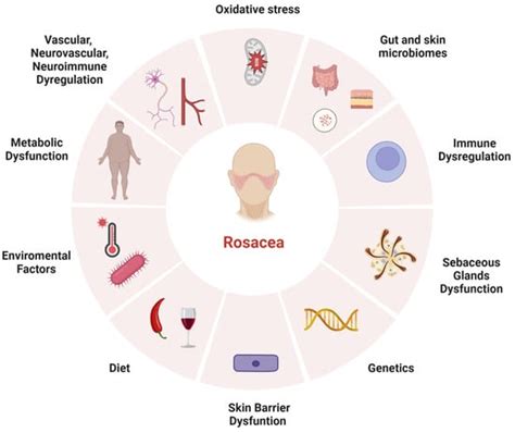 Advances In The Pathogenesis And Treatment Of Rosacea A Phenotype