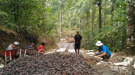 Pemdes Wiau Lapi Barat Bangun Jalan Rabat Beton Di Perkebunan Ta Asa