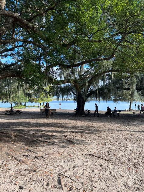 Pet Friendly Orlando, FL - A City Guide