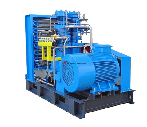 Nm Bar High Pressure Oil Free Oxygen Compressor From China