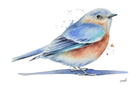 Bluebird Watercolor Painting By Christy Barber Bluebird Art Eastern