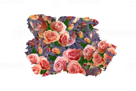 Flower Sublimation Clipart Png 21444146 Png