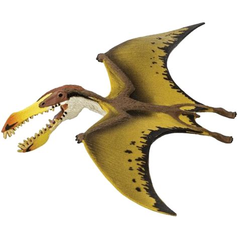 Pterosaurs PNG Transparent Images