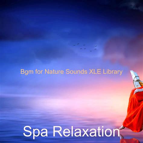 Bgm For Nature Sounds Xle Library Album By Spa Relaxation Spotify