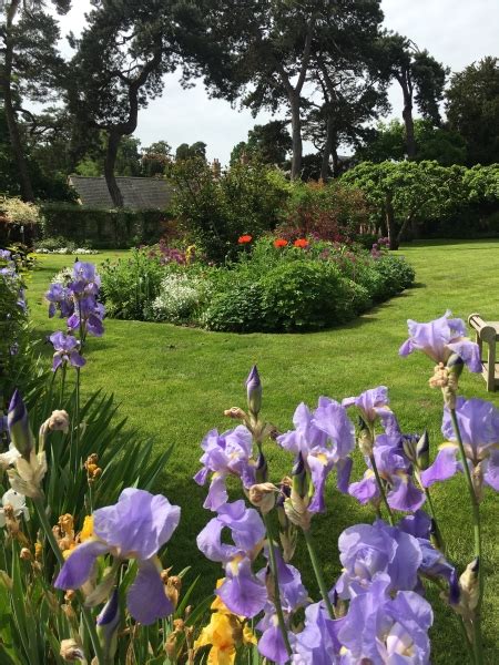 Honington Gardens - Shipston-on-Stour | NGS Gardens