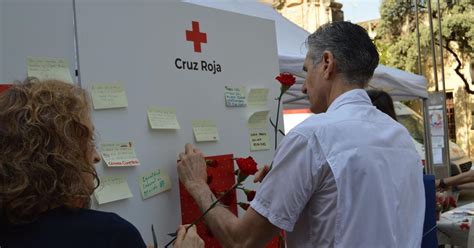 Cruz Roja Inunda C Rdoba De Claveles Para Reivindicar La Igualdad De