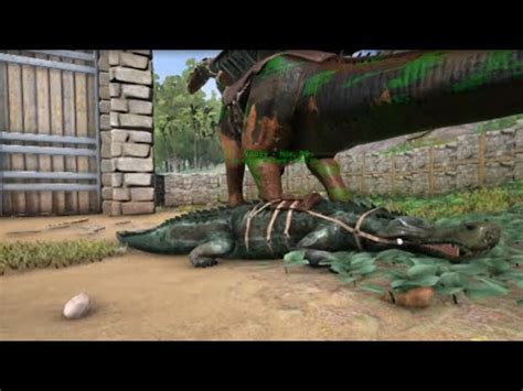 Comment Apprivoiser Un Sarco Ark Survival Evolved Youtube