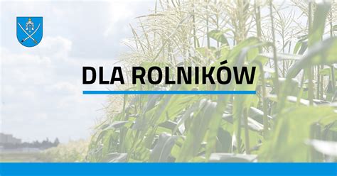 Rolnicy którzy ponieśli w 2020 r straty w uprawach mogą składać