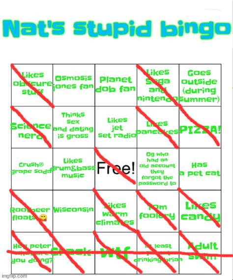 Nat S Stupid Bingo Imgflip