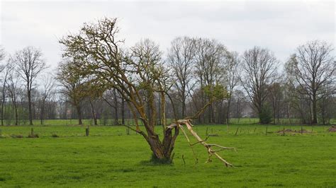 www.laudahn.de