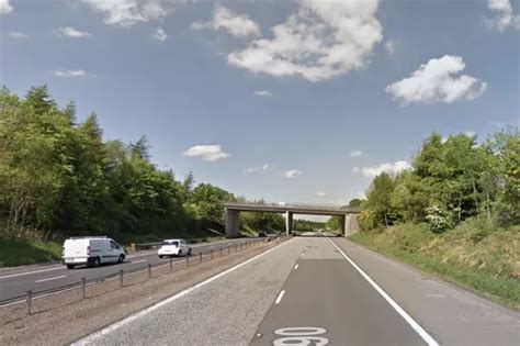 Trainspotting Star Kelly Macdonald Has A Stunt Bum Double For Her Sex Scenes Daily Record