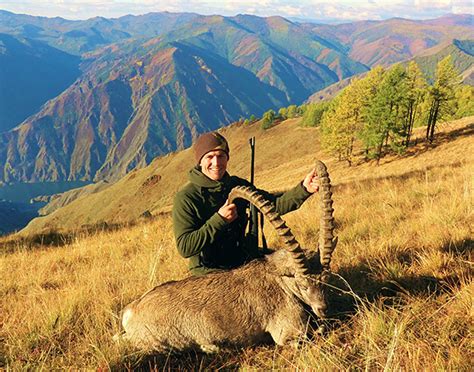 Altai (Siberian) Ibex Hunts : Trophy Ibex Hunting in Russia