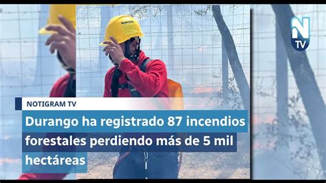 Durango Ha Registrado 87 Incendios Forestales Perdiendo Más De 5 Mil