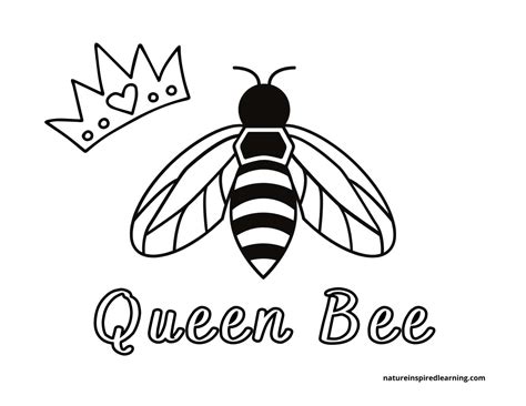 Queen Bee Coloring Page Coloring Pages