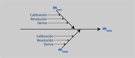 C Mo Evaluar La Incertidumbre De La Masa