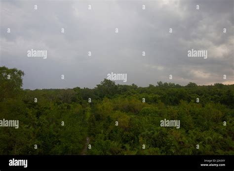 An aerial view of the Sundarbans, a UNESCO World Heritage Site and a wildlife sanctuary. Katka ...