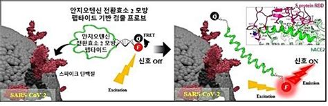 생명연구원 새 감염병 진단기술 개발pcr·항원항체 검사 보완 네이트 뉴스