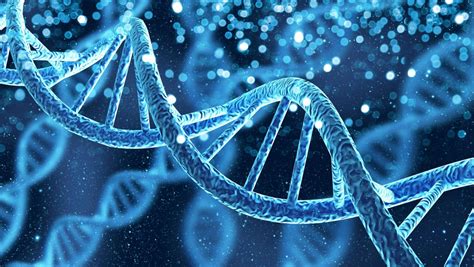 Can You Correctly Label Various Parts Of A Dna Molecule Mastering Dna