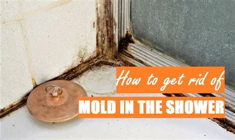 How to Get Rid of Mold in the Shower: 3 Quick Steps - Shower Maestro