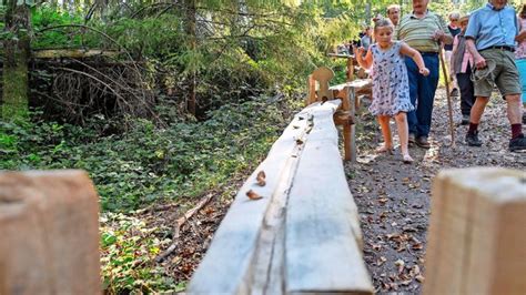 Kreis Göppingen Förster rüsten Wald gegen den Klimawandel Göppingen