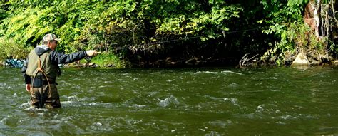 Osprey Fly Fishers Association: River Taff - Fishing in Wales