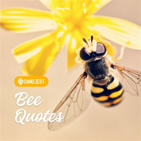 150+ Bee Quotes to Inspire and Delight - Personalized Gift Sandjest