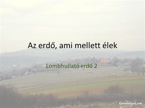 Az erdő ami mellett élek ppt letölteni