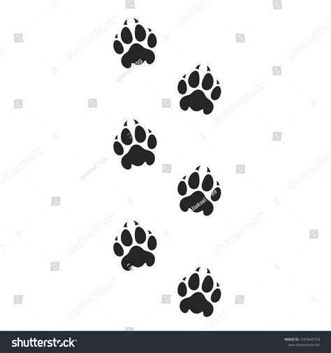 Tiger paw print. Silhouette. Isolated paw prints on white background #Ad , #spon, #print# ...