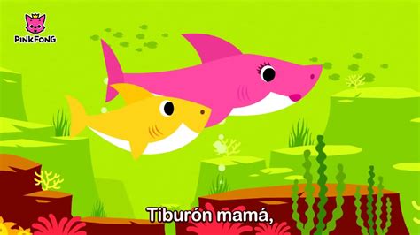 Tiburón Bebé Animales PINKFONG Canciones Infantiles YouTube