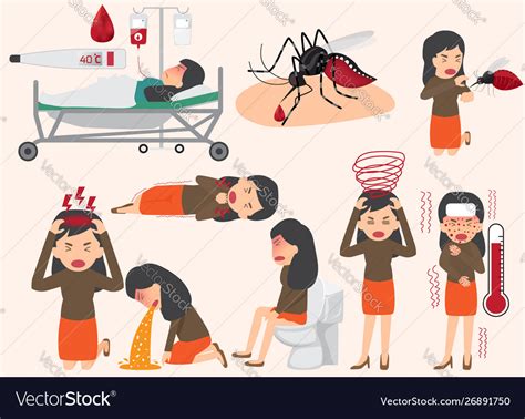 Template Design Details Dengue Fever Or Flu Vector Image