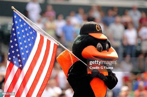 Oriole Bird Mascot Photos And Premium High Res Pictures Getty Images