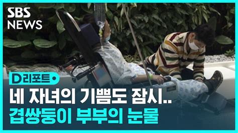 D리포트 기쁨도 잠시겹쌍둥이 부부의 눈물 네이트 뉴스