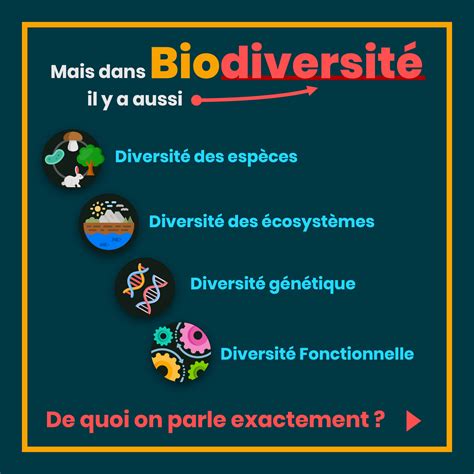 D Finition S De La Biodiversit L Iglou