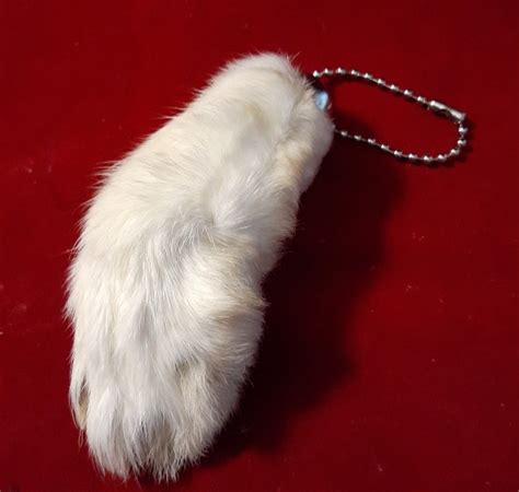 Lucky Rabbits Foot Genuine Rabbits Feet Key Chains Qty Feet For Good