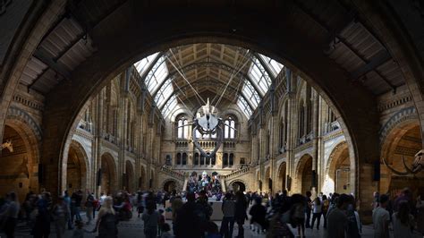 Natural History Museum Hintze Hall London Uk