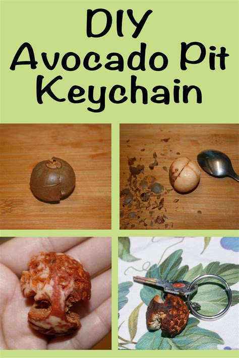 Avocado Pit Keychain A Guide By And For The Novice Carver Dremel