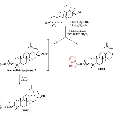 Scheme 1 Synthetic Route For The Preparation Of 3 Indolyl Derivatives